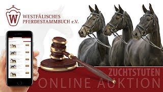 Westfälische Online-Zuchtstuten-Auktion