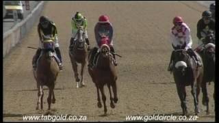 20161019 Greyville Race Day Blitz