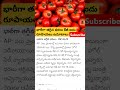 భారీగా తగ్గిన టమాట ధరలు telugunews tomato trend vijaychappidi viralvideo trending