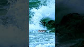 計画 漂流メガフロート