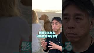 【AIハヤシの勝手にコメンテーター】すべての犬はニホンオオカミから誕生！？ part02「犬の東アジア起源説」 #Shorts #AI獣医師 #林文明#ノア動物病院  #犬 #猫