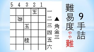 【詰将棋】9手詰双玉9 神吉宏充七段作 将棋世界1999年9月号