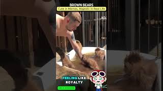 Tommy & Lily’s Brown Bear Fun: Internet Fame vs. Real Life! 🐻✨