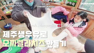 모짜렐라치즈 만들기  Homemade Fresh  Mozzarella