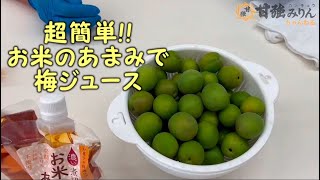 キムタツのおっさんでもできる料理レシピ　梅の実で作る「超簡単!!お米のあまみで梅ジュース」