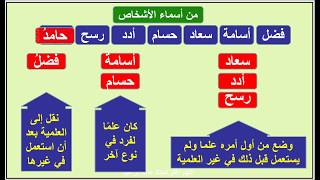 الإيجازُ المُسَهَّلُ في النَّحْوِ  -  26 -  أنواع العلم من حيث أصالته - عماد إبراهيم