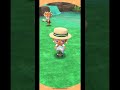 【 ポケ森 】たいへいたの新クッキー10個食べてキャンプ場レイアウト配信！狙うは星4！