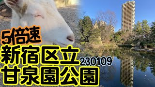 新宿区立甘泉園公園 (230109) 5倍速