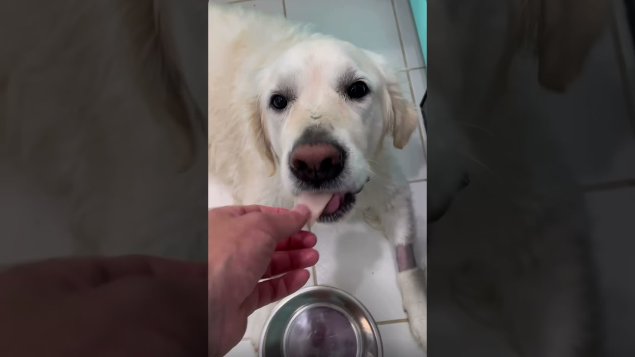 Daily Snaps 12 6 21 Youtube