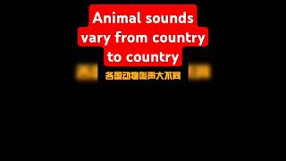 不同国家，动物的叫声居然大不相同Animal calls vary greatly in different countries #funnyvideo #shorts