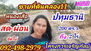 ที่ดินแบ่งขายคลอง11 หนองเสือ ปทุมธานี ขนาด 193ตร.ว.-2ไร่ |โมเมย์ขายที่ดิน