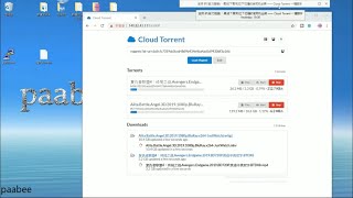 Cloud Torrent ｜3分鐘用vultr vps搭建私人bt雲 線上直接下載 支持BT磁力鏈接、離線下載和邊下邊播