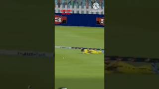 shot and fielding is Amazing