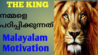 The power of ATTITUDE- സിംഹം നമ്മളെ പഠിപ്പിക്കുന്നത് ( Malayalam Motivation)