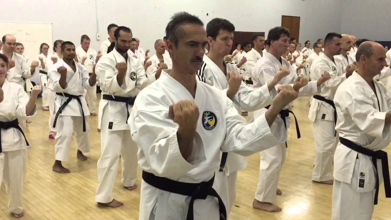 GOJU RYU KARATE DO SEIWAKAI - London Seminar October 2015 - YouTube