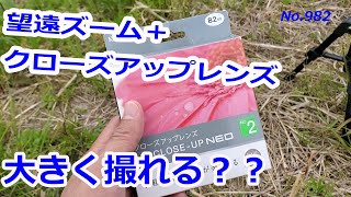 【望遠ズームに】クローズアップレンズをつけるとどのくらい大きくなる？？（動画No.982）