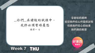 【五分鐘好時光】二〇二二年春季國際長老及負責弟兄訓練｜第七週週四