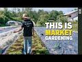 The Art of Market Gardening: A Walkthrough of 'La Grelinette' Farm