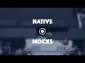 Mocking Plugins with Ionic Native