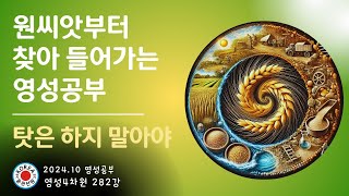 영성4차원 282강) 탓은 하지 말아야 [원씨앗부터 찾아 들어가는 공부]