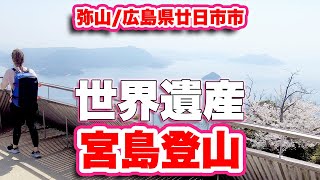 【広島観光】宮島の世界遺産は厳島神社だけじゃない！弥山360度の絶景は必見【旅行VLOG】紅葉谷コ－ス〜大聖院コ－スで登山。霊山らしい奇岩が続く山頂からは絶景を楽しめ、ロープウェイでも登れるよ