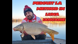 Pescuit la Method Feeder in luna Ianuarie