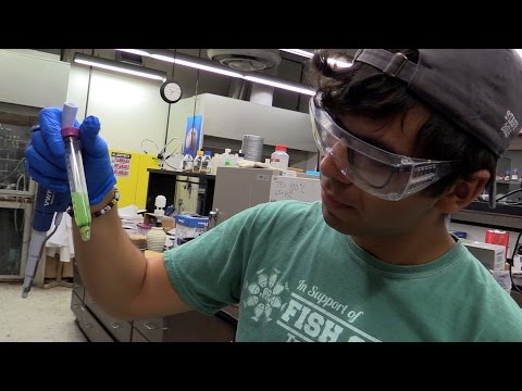 Texas A&M Science - Labors of Lab (Episode 17) Texas A&M Science - Labors of Lab (Episode 17)