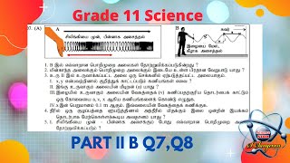 வட மாகாண நிலையறி பரீட்சை | தரம் 11 விஞ்ஞானம் 2021  பகுதி II B | 2nd Term NP Part II B  | Q7,Q8