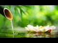 Relaxing music for sleep, quiet 🔴 Relaxing Sleep Music Deep Sleeping -Meditation Music - Sleep Music