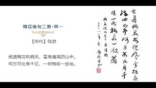 学习古诗词：《梅花绝句二首·其一》宋 陆游