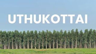 The Truth about Uthukottai | Alive Documentary