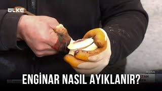 Enginarın Hazırlık Aşamaları Nelerdir? - Topraktan Sofraya