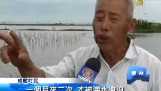 【美麗台灣】藝術味與鹹味的「口湖成龍溼地」