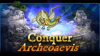 [FFRK] Raid Multiplayer | FFV Archaeoaevis (A+) #883