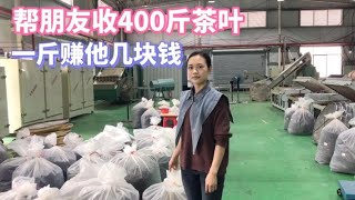 【杨一米茶】全国最大红茶批发市场，杨一米收400斤三江红茶，一斤赚他5块钱