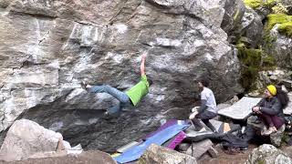 Driven stand (v9) Boulderfields