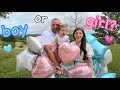 SAZNAJEMO POL NAŠE BEBE / Gender reveal 2024 🩵or💗???