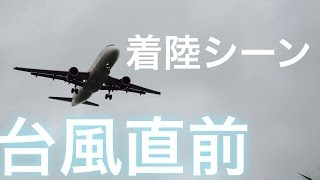 【恐怖】台風8号上陸前の飛行機着陸シーン 沖縄 那覇空港