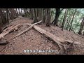 甲斐犬単独猟 第二十一話「令和三年初単独猟」japanese hunting kaidog