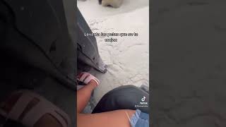 Jajajaja toda una experiencia pero amamos HOLBOX