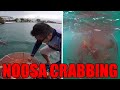 🎣🦀 NOOSA CRABBING - IT'S CLOSER THAN YOU THINK