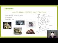 genesis of hydrothermal deposits by samuel garay