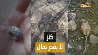 سعودي يعثر على «كنز ثمين» خلال نزهة في جازان.. تخيّل ماذا وجد ؟