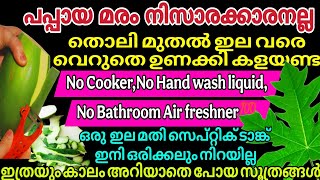 പപ്പായ തൊലി മുതൽ ഇല വരെ വെറുതെ ഉണക്കി കളയണ്ട | ഒരു ഇലയുണ്ടെങ്കിൽ സെപ്റ്റിക് ടാങ്ക് നിറയില്ല #tips