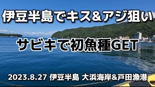 【伊豆半島】西伊豆\u0026沼津エリアで初釣行