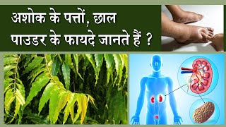 अशोक के पेड़ की छाल से पत्ते तक सभी में भरे पड़ें है सेहत के फायदे Ashok Leaves, Bark, Powder Benefits