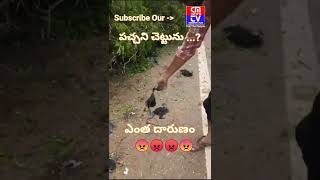 కొన్ని వేల పక్షులకు గూడు చెదిరింది..  #vairalshort #viral #viralshort #viralshorts