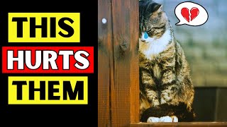 10 Everyday Things HURT Your Cat Emotionally!