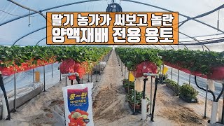 20년 딸기농가의 비교 실험_양액재배 전용 용토