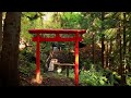 【japan in 8k】visiting ogre autumn leaves iwaya